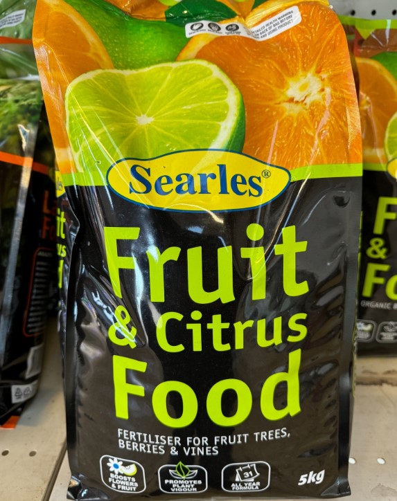 Fruit and Citrus Food